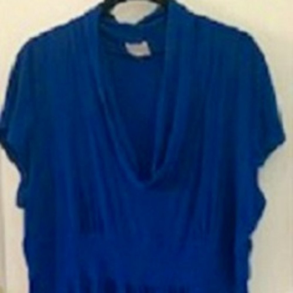 Tiana B Women Blue Stylish High Waist Seam Dress X-Large